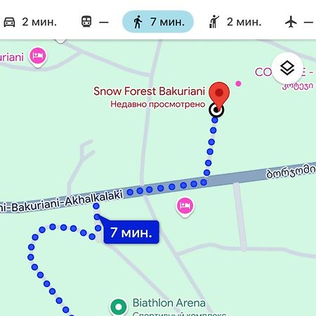 Snow Forest Bakuriani Apartment 10 Zewnętrze zdjęcie